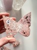 Agate crazy lace rose | Papillon 3D