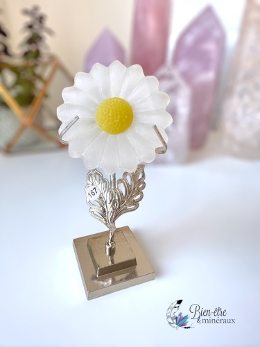 pierre sélénite blanche en forme de fleur