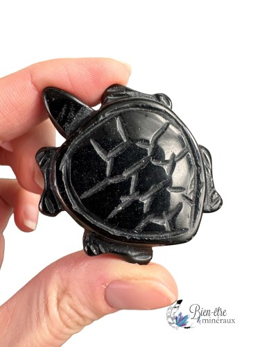 Pierre Obsidienne noire en forme de tortue